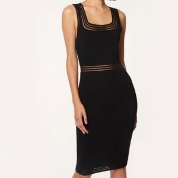 Milly Transparent Stripe Dress Size Petite - Picture 1 of 13